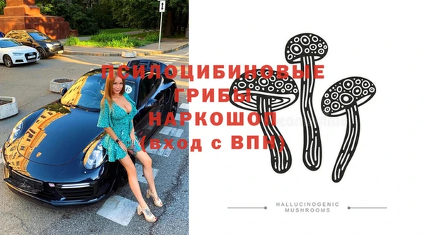 стафф Алексин