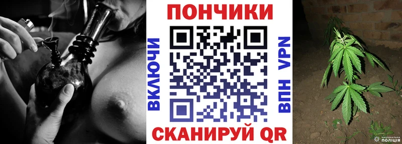 Бошки Шишки планчик купить наркоту Алушта